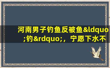 河南男子钓鱼反被鱼“钓”，宁愿下水不愿丢鱼竿，网友：人在杆在