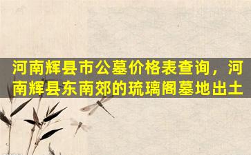 河南辉县市公墓价格表查询，河南辉县东南郊的琉璃阁墓地出土