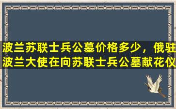 波兰苏联士兵公墓价格多少，俄驻波兰大使在向苏联士兵公墓献花仪式上遇袭