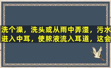 洗个澡，洗头或从雨中弄湿，污水进入中耳，使脓液流入耳道，这会让您的耳朵倒下！
