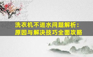 洗衣机不进水问题解析：原因与解决技巧全面攻略