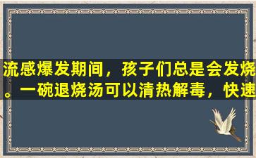 流感爆发期间，孩子们总是会发烧。一碗退烧汤可以清热解毒，快速退烧。