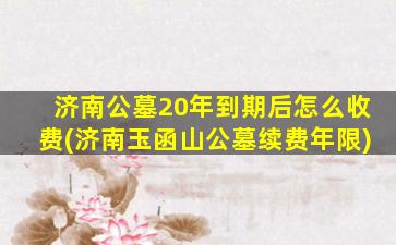 济南公墓20年到期后怎么收费(济南玉函山公墓续费年限)
