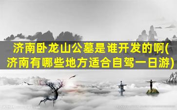 济南卧龙山公墓是谁开发的啊(济南有哪些地方适合自驾一日游)