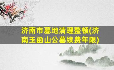 济南市墓地清理整顿(济南玉函山公墓续费年限)