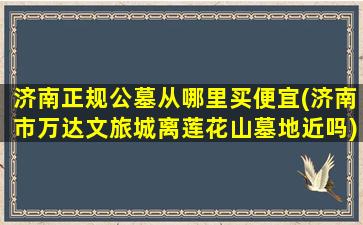 济南正规公墓从哪里买便宜(济南市万达文旅城离莲花山墓地近吗)