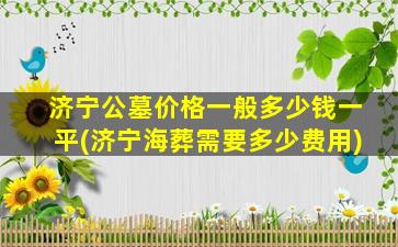 济宁公墓价格一般多少钱一平(济宁海葬需要多少费用)