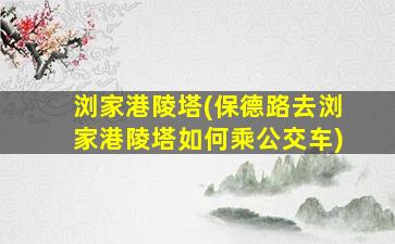 浏家港陵塔(保德路去浏家港陵塔如何乘公交车)