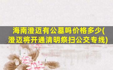 海南澄迈有公墓吗价格多少(澄迈将开通清明祭扫公交专线)