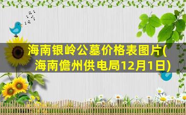 海南银岭公墓价格表图片(海南儋州供电局12月1日)