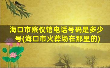 海口市殡仪馆电话号码是多少号(海口市火葬场在那里的)