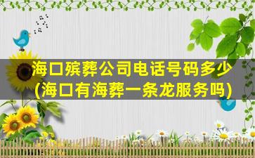 海口殡葬公司电话号码多少(海口有海葬一条龙服务吗)