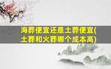 海葬便宜还是土葬便宜(土葬和火葬哪个成本高)