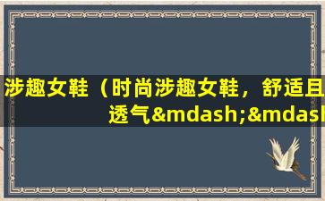 涉趣女鞋（时尚涉趣女鞋，舒适且透气——让你步履轻扬）