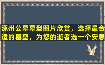 涿州公墓墓型图片欣赏，选择最合适的墓型，为您的逝者选一个安息之地