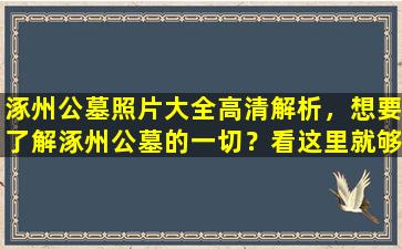 涿州公墓照片大全高清解析，想要了解涿州公墓的一切？看这里就够了！