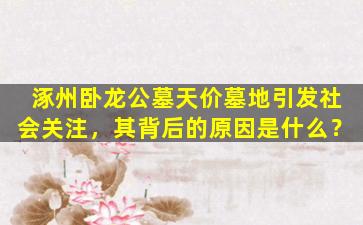 涿州卧龙公墓天价墓地引发社会关注，其背后的原因是什么？