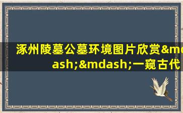 涿州陵墓公墓环境图片欣赏——一窥古代葬礼文化之美