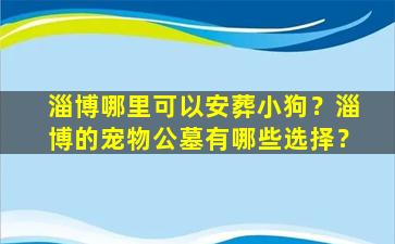 淄博哪里可以安葬小狗？淄博的宠物公墓有哪些选择？
