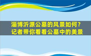 淄博沂源公墓的风景如何？记者带你看看公墓中的美景