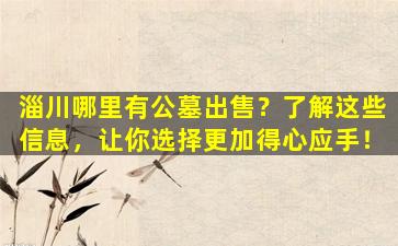 淄川哪里有公墓出售？了解这些信息，让你选择更加得心应手！