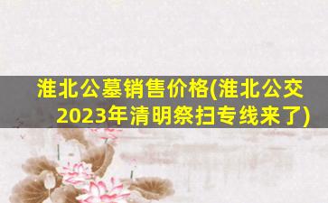 淮北公墓销售价格(淮北公交2023年清明祭扫专线来了)