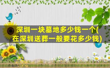 深圳一块墓地多少钱一个(在深圳送葬一般要花多少钱)