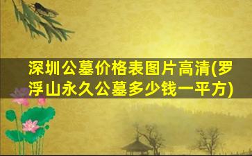 深圳公墓价格表图片高清(罗浮山永久公墓多少钱一平方)