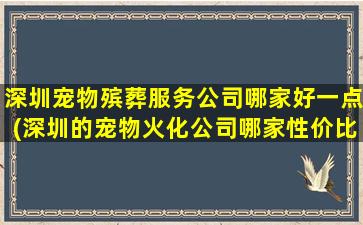 深圳宠物殡葬服务公司哪家好一点(深圳的宠物火化公司哪家性价比比较高)
