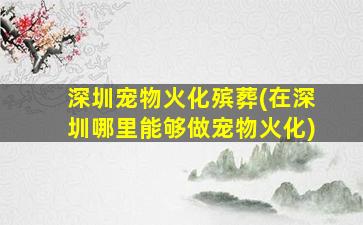 深圳宠物火化殡葬(在深圳哪里能够做宠物火化)