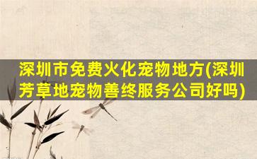 深圳市免费火化宠物地方(深圳芳草地宠物善终服务公司好吗)