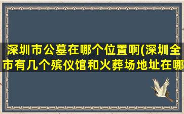 深圳市公墓在哪个位置啊(深圳全市有几个殡仪馆和火葬场地址在哪)