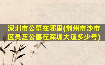 深圳市公墓在哪里(荆州市沙市区灵芝公墓在深圳大道多少号)