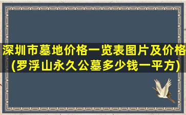 深圳市墓地价格一览表图片及价格(罗浮山永久公墓多少钱一平方)