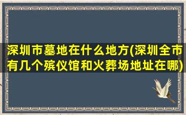 深圳市墓地在什么地方(深圳全市有几个殡仪馆和火葬场地址在哪)