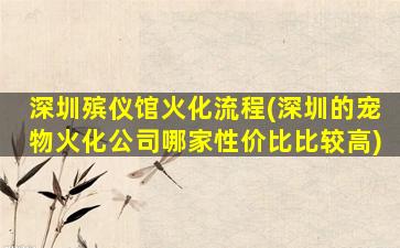 深圳殡仪馆火化流程(深圳的宠物火化公司哪家性价比比较高)