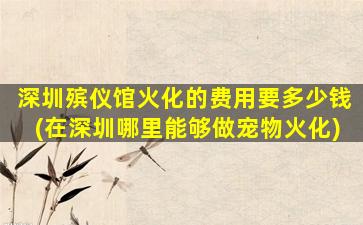 深圳殡仪馆火化的费用要多少钱(在深圳哪里能够做宠物火化)