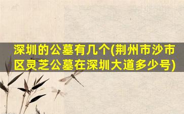 深圳的公墓有几个(荆州市沙市区灵芝公墓在深圳大道多少号)