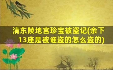 清东陵地宫珍宝被盗记(余下13座是被谁盗的怎么盗的)