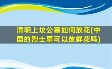清明上坟公墓如何放花(中国的烈士墓可以放鲜花吗)