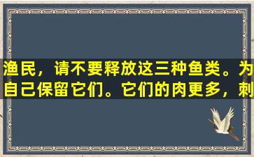 渔民，请不要释放这三种鱼类。为自己保留它们。它们的肉更多，刺刺，营养价值很高。