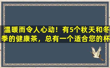 温暖而令人心动！有5个秋天和冬季的健康茶，总有一个适合您的杯子！