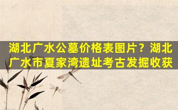 湖北广水公墓价格表图片？湖北广水市夏家湾遗址考古发掘收获