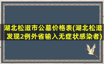 湖北松滋市公墓价格表(湖北松滋发现2例外省输入无症状感染者)