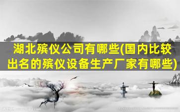 湖北殡仪公司有哪些(国内比较出名的殡仪设备生产厂家有哪些)