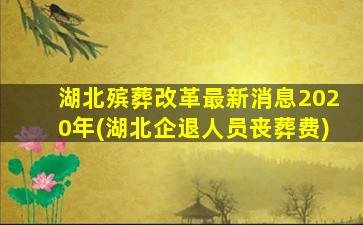 湖北殡葬改革最新消息2020年(湖北企退人员丧葬费)