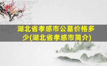 湖北省孝感市公墓价格多少(湖北省孝感市简介)