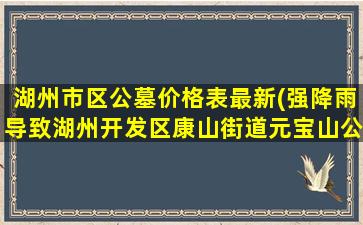 湖州市区公墓价格表最新(强降雨导致湖州开发区康山街道元宝山公墓一侧山体滑坡)