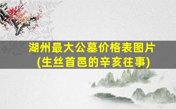 湖州最大公墓价格表图片(生丝首邑的辛亥往事)