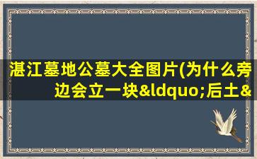 湛江墓地公墓大全图片(为什么旁边会立一块“后土”碑)